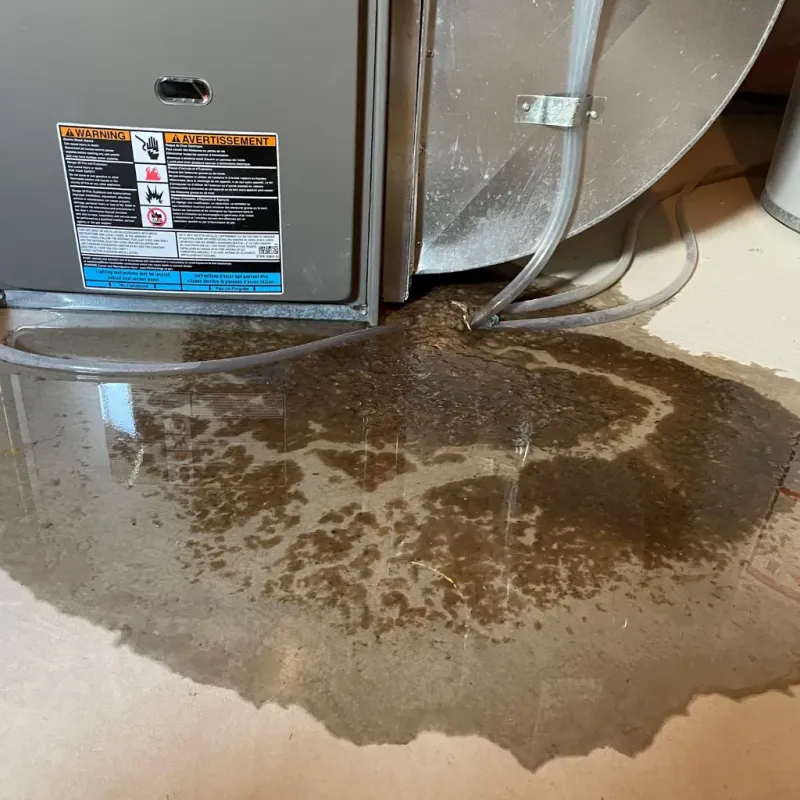 Appliance Leak Cleanup in Wayne County, WV