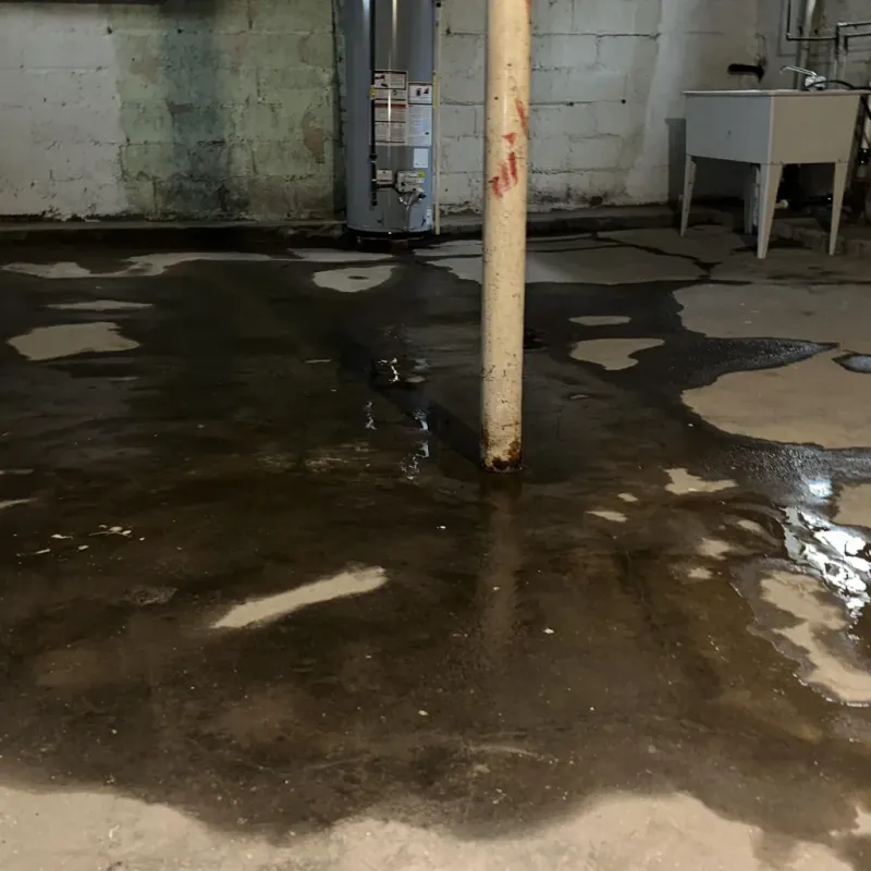 Emergency Water Extraction And Removal in Wayne County, WV